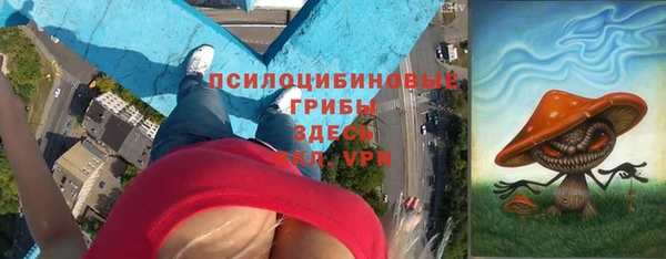 героин Алексин